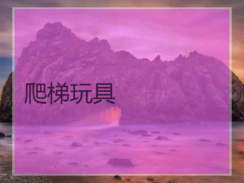爬梯玩具