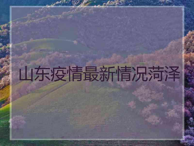 山东疫情最新情况菏泽