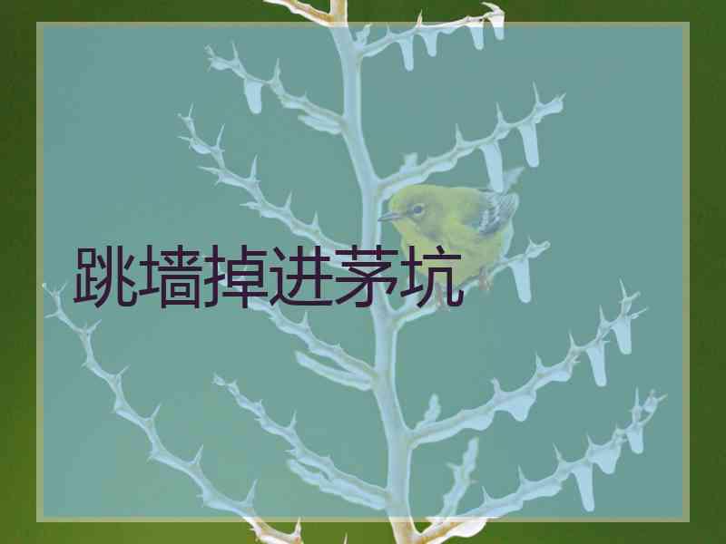 跳墙掉进茅坑