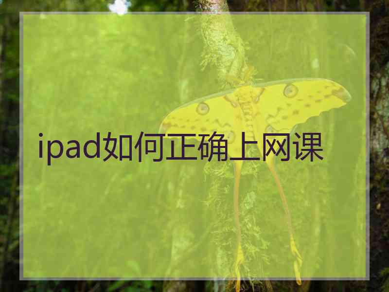 ipad如何正确上网课