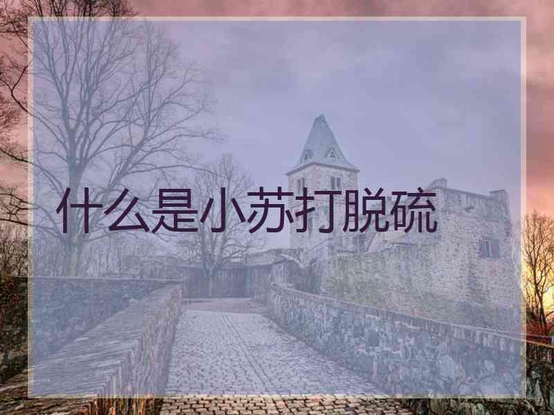什么是小苏打脱硫