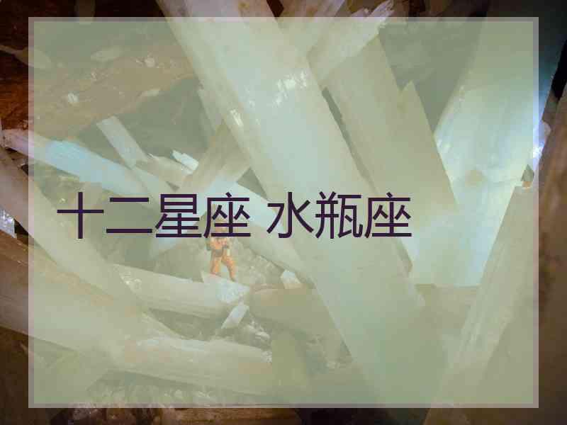 十二星座 水瓶座