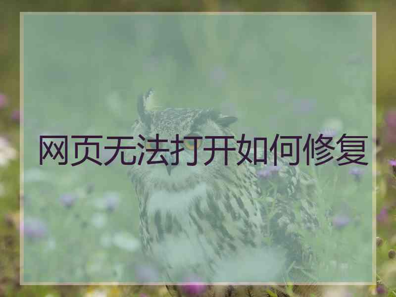 网页无法打开如何修复