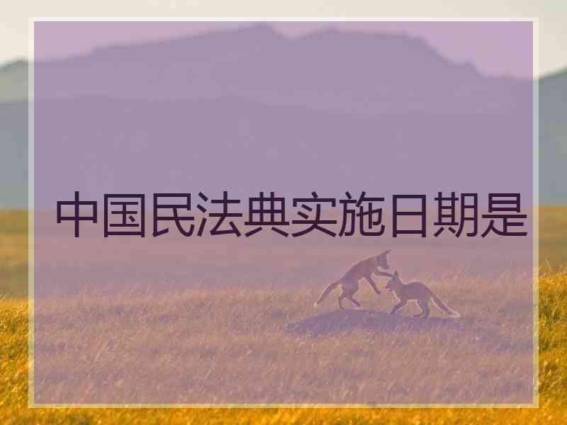 中国民法典实施日期是