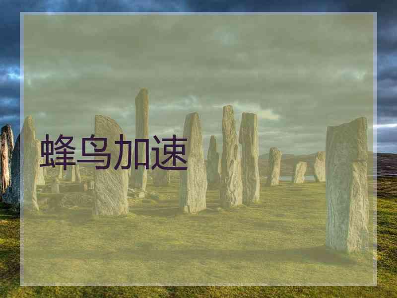 蜂鸟加速