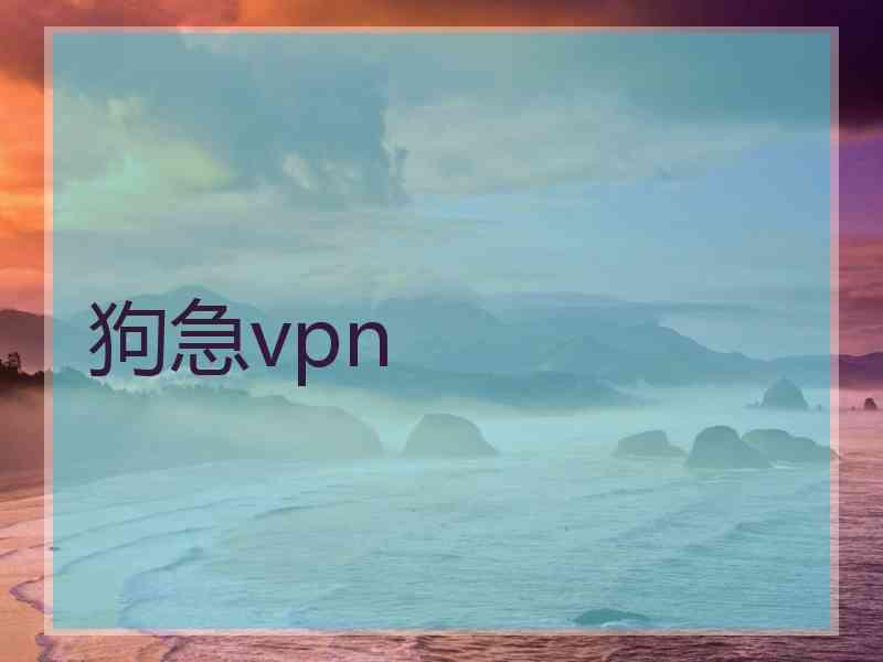 狗急vpn