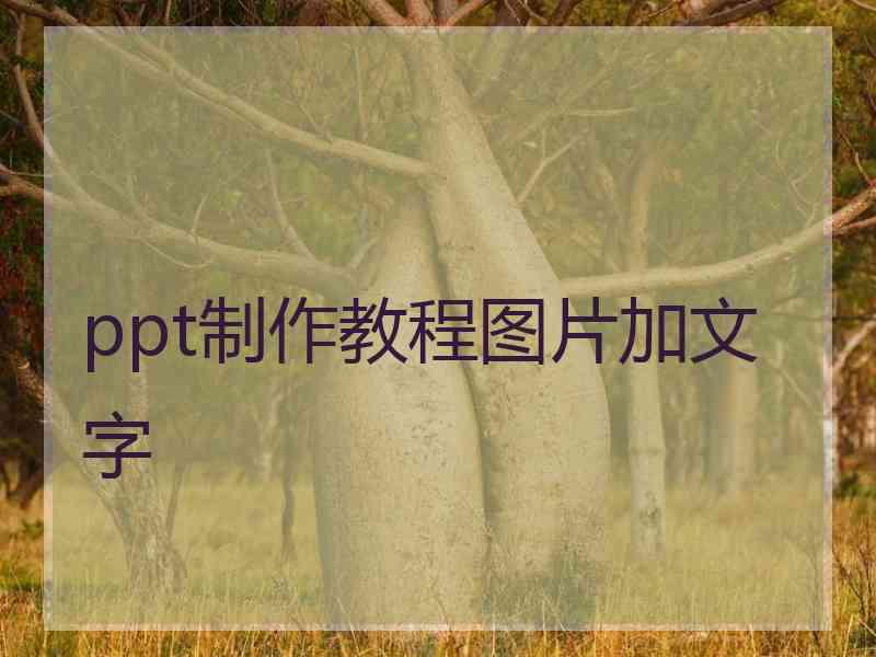 ppt制作教程图片加文字