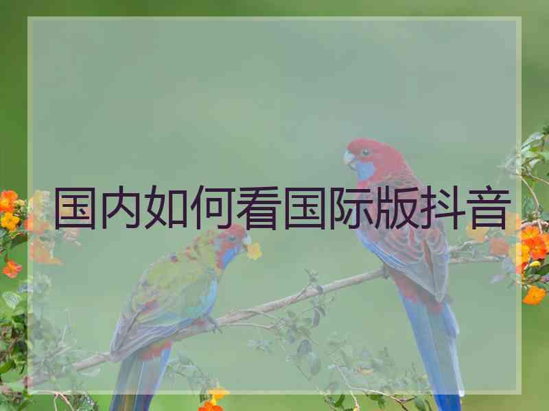 国内如何看国际版抖音