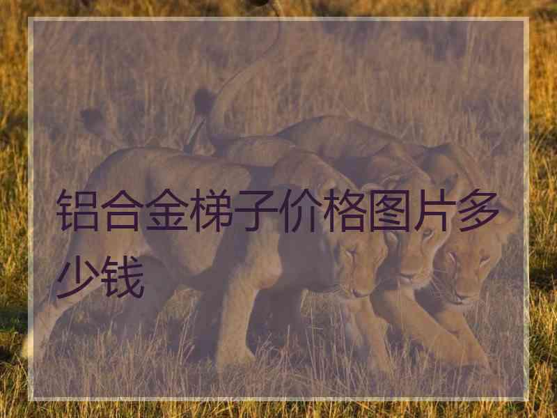 铝合金梯子价格图片多少钱