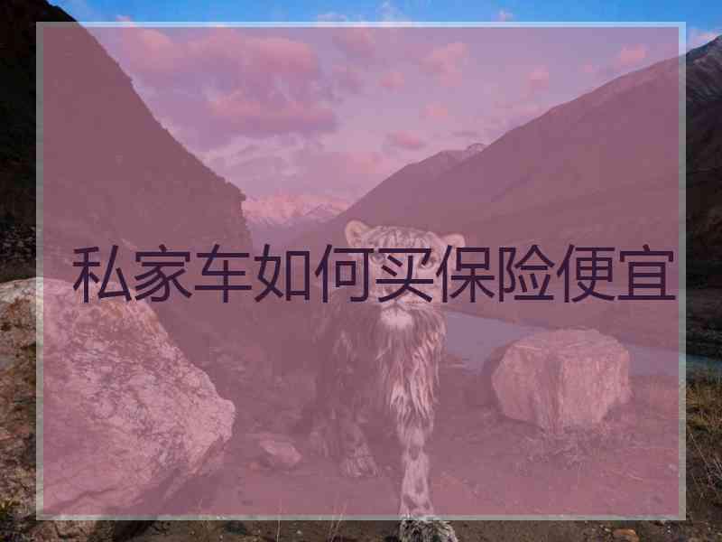 私家车如何买保险便宜