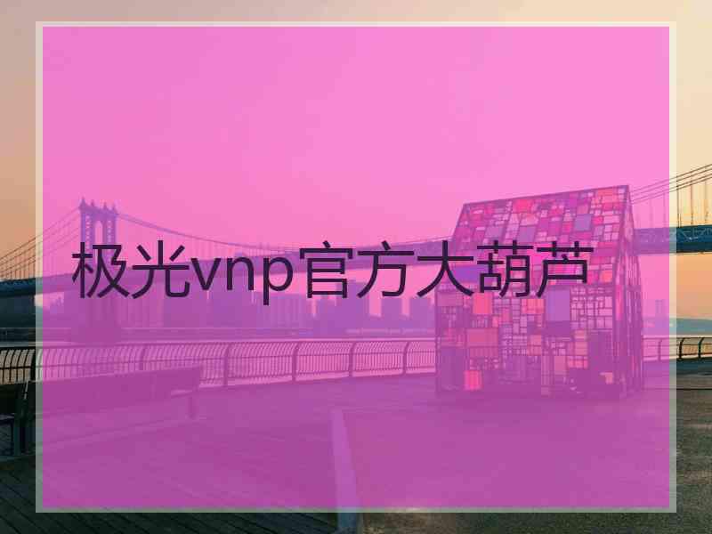 极光vnp官方大葫芦
