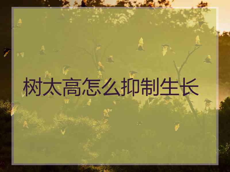 树太高怎么抑制生长