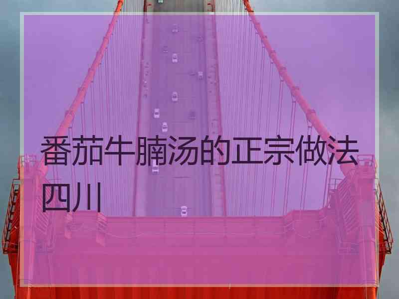 番茄牛腩汤的正宗做法四川