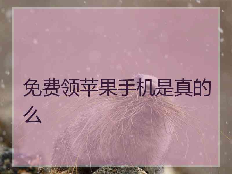 免费领苹果手机是真的么