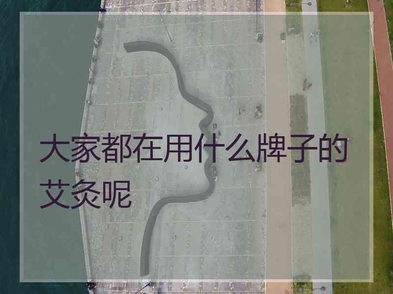 大家都在用什么牌子的艾灸呢
