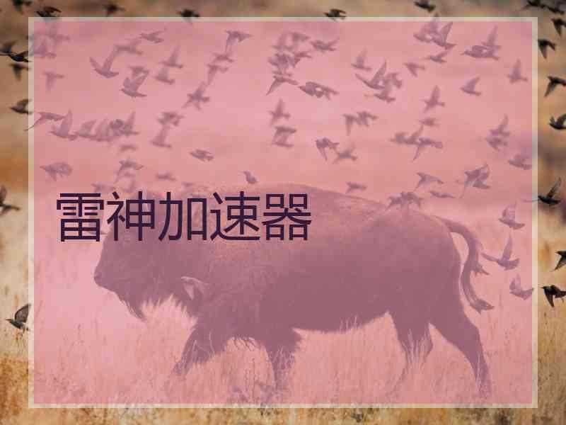 雷神加速器