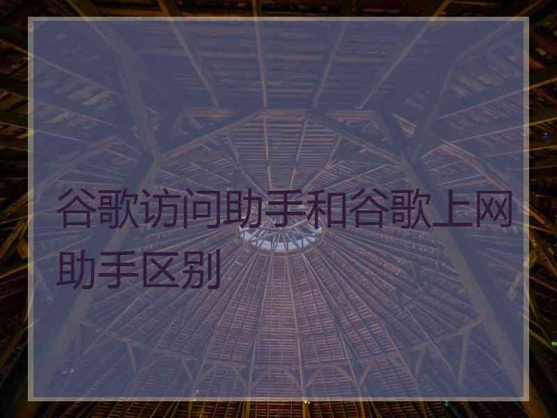 谷歌访问助手和谷歌上网助手区别