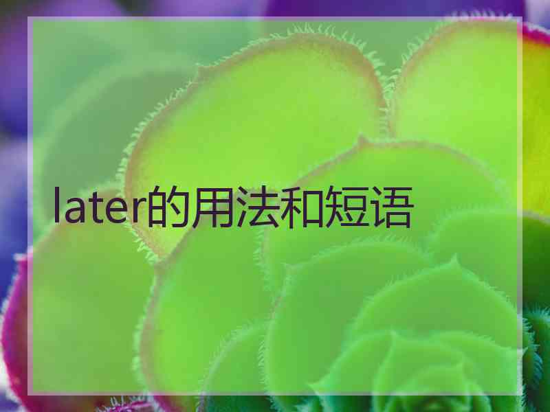 later的用法和短语