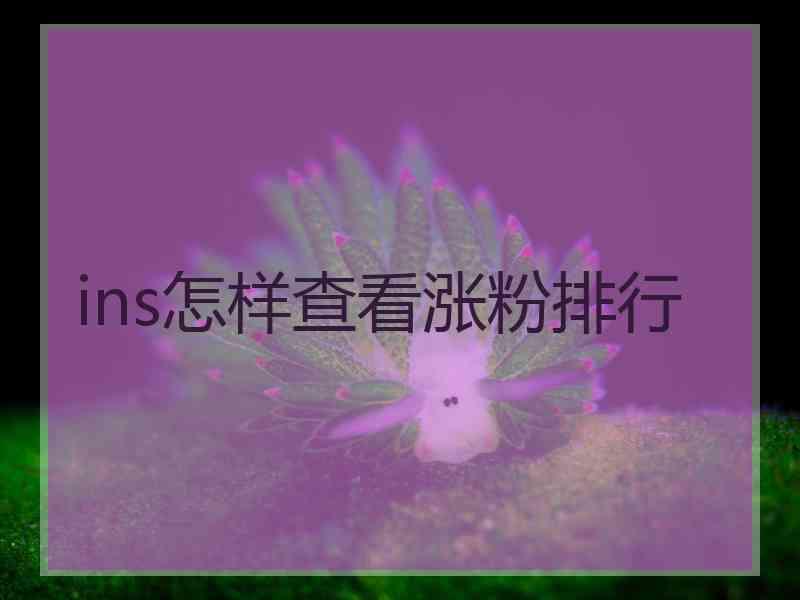 ins怎样查看涨粉排行