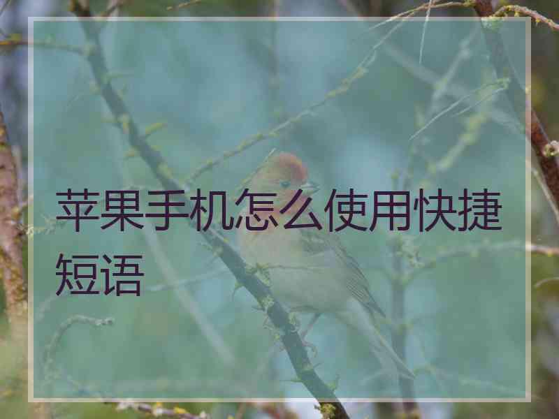 苹果手机怎么使用快捷短语