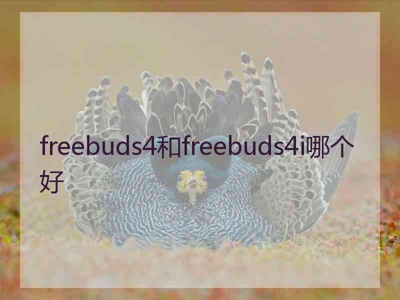 freebuds4和freebuds4i哪个好