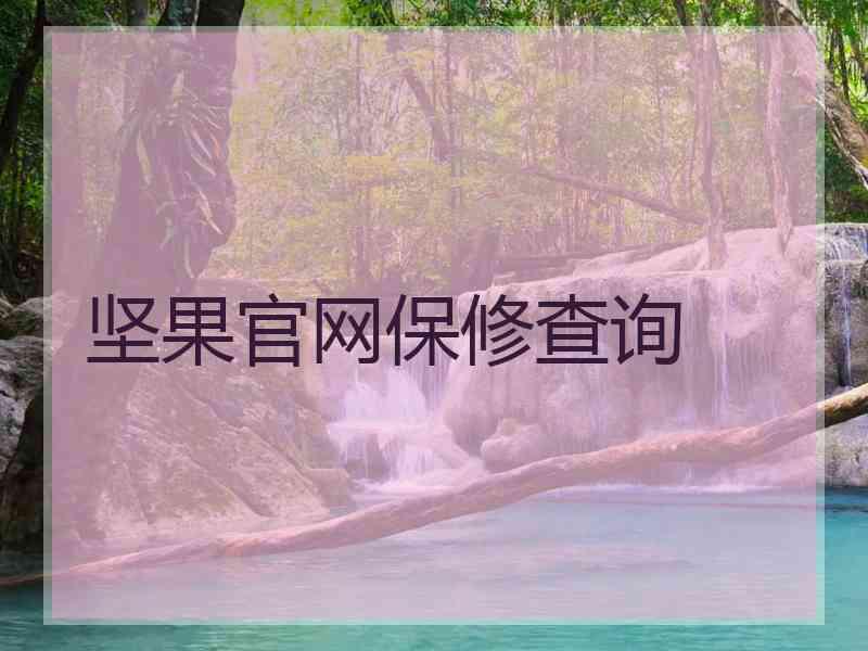 坚果官网保修查询