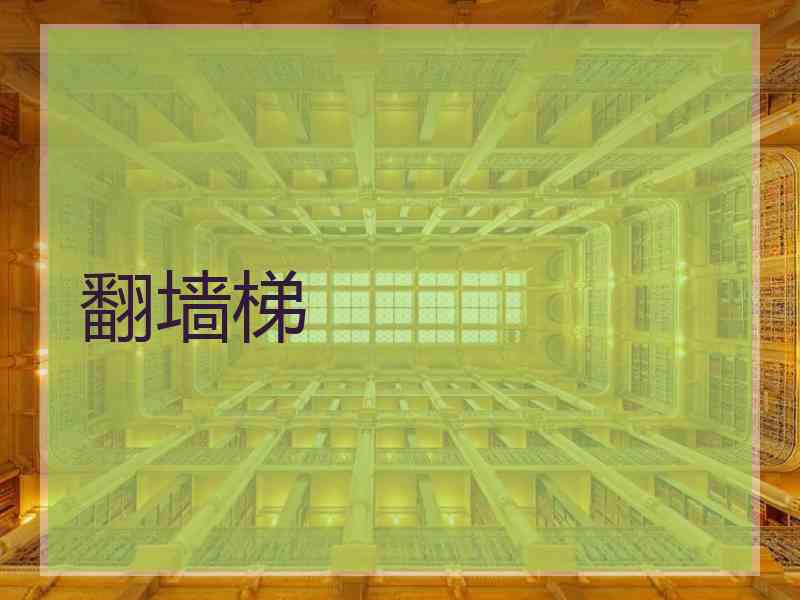 翻墙梯