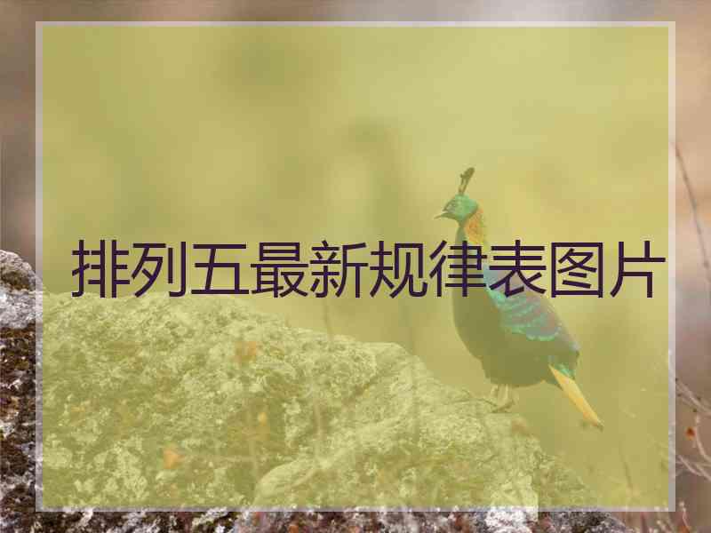 排列五最新规律表图片