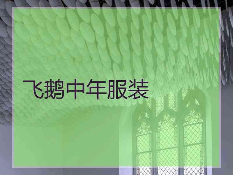 飞鹅中年服装
