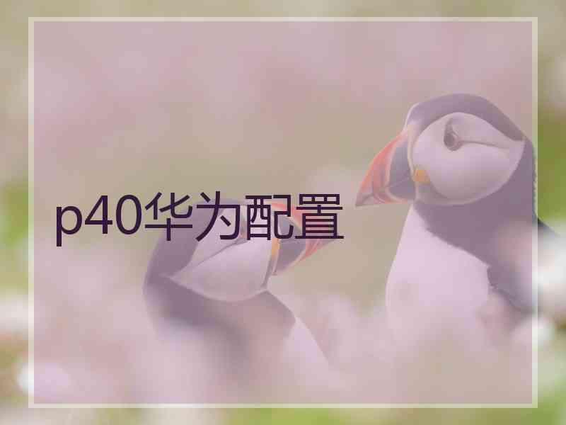 p40华为配置