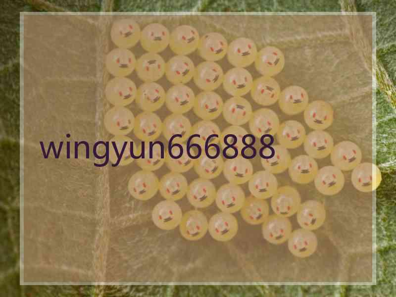 wingyun666888