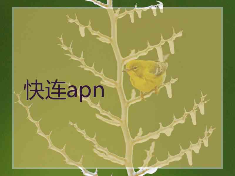快连apn