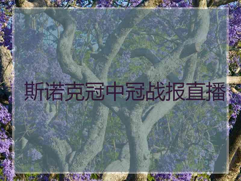 斯诺克冠中冠战报直播
