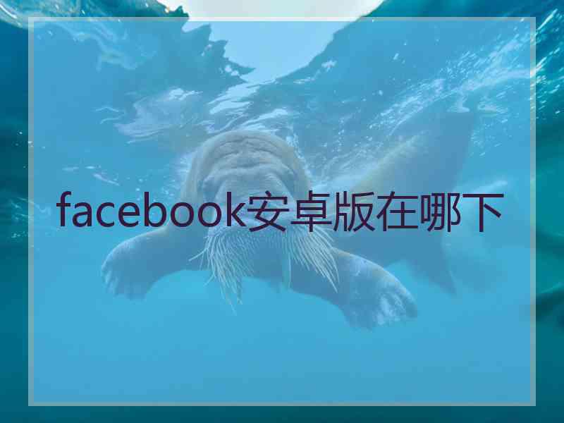 facebook安卓版在哪下