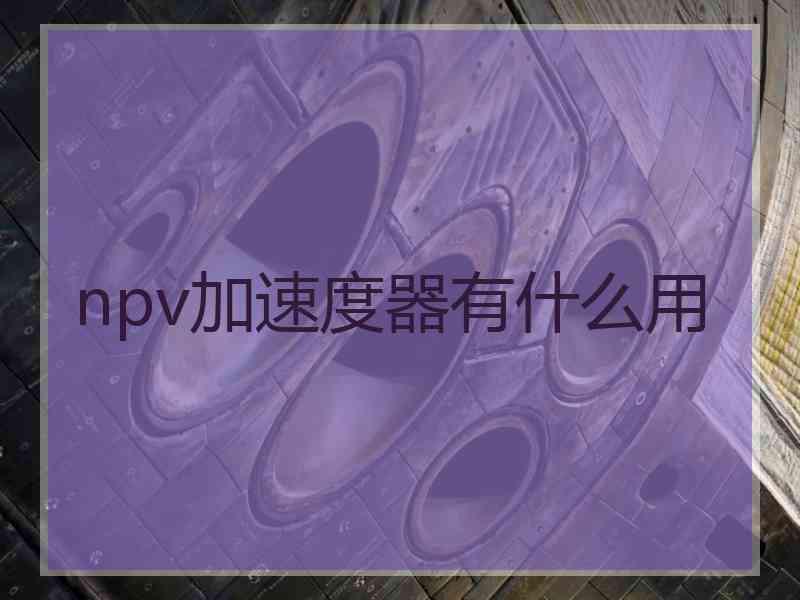 npv加速度器有什么用