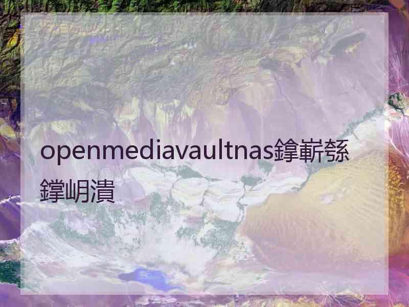openmediavaultnas鎿嶄綔鐣岄潰