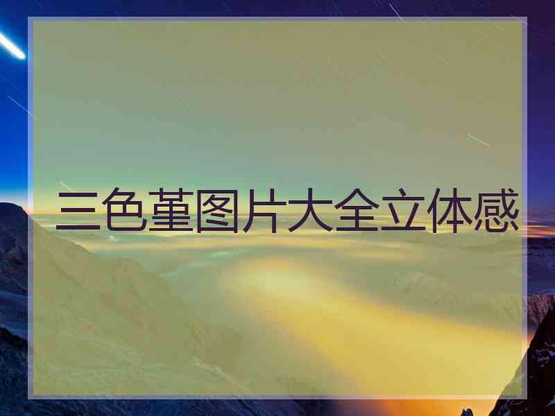 三色堇图片大全立体感