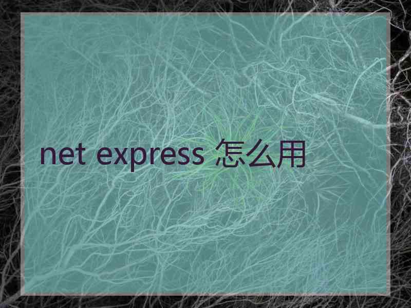 net express 怎么用