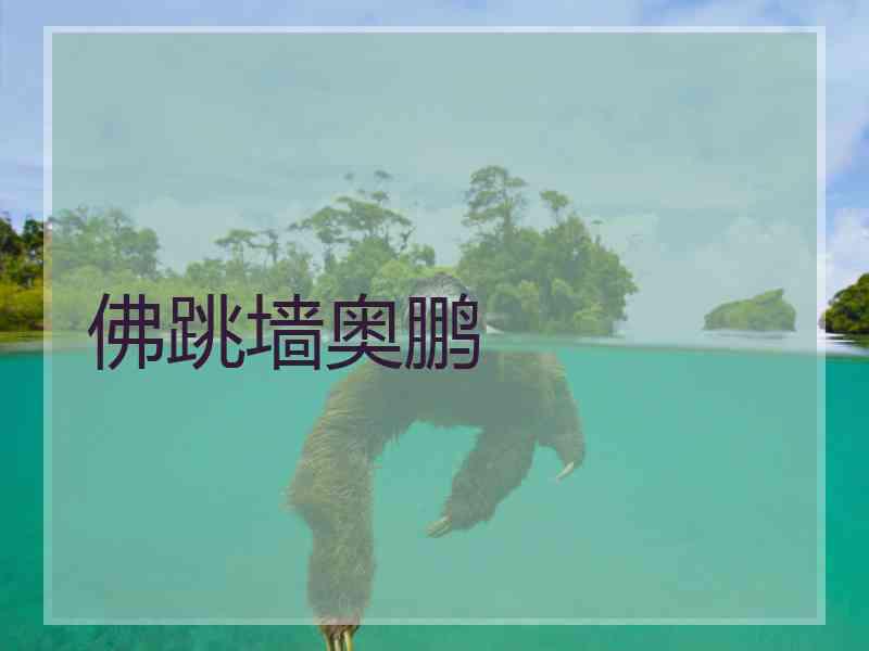 佛跳墙奥鹏