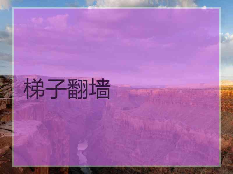 梯子翻墙