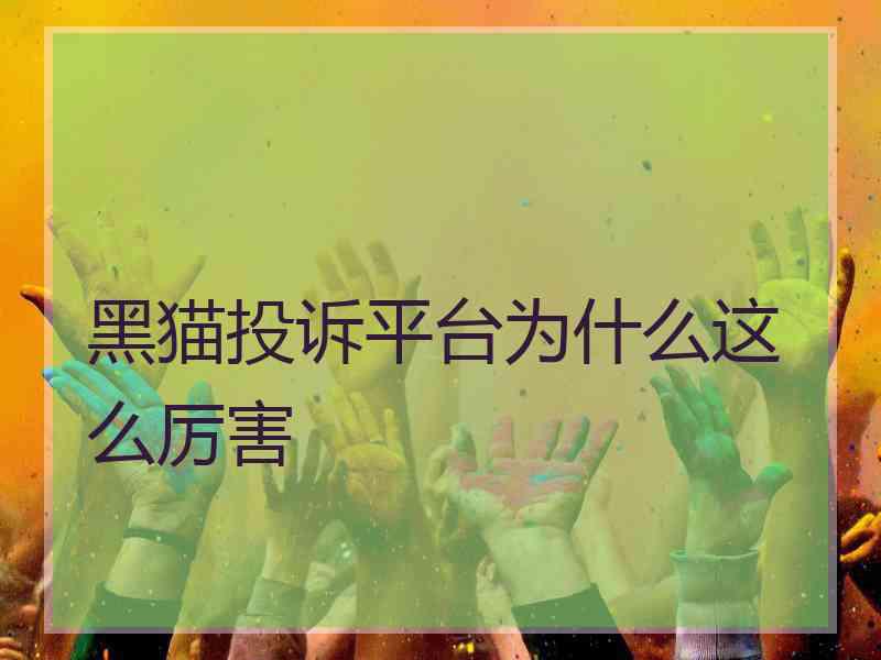 黑猫投诉平台为什么这么厉害