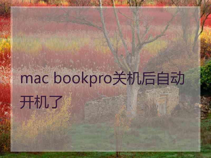 mac bookpro关机后自动开机了