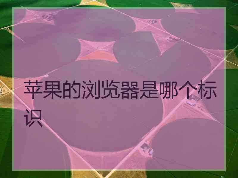 苹果的浏览器是哪个标识