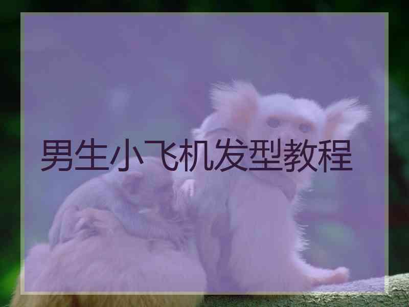 男生小飞机发型教程