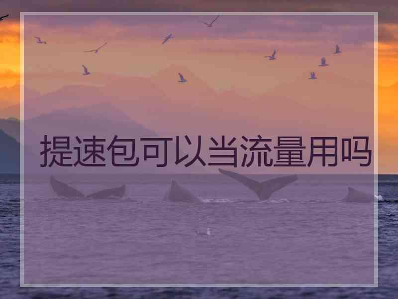 提速包可以当流量用吗
