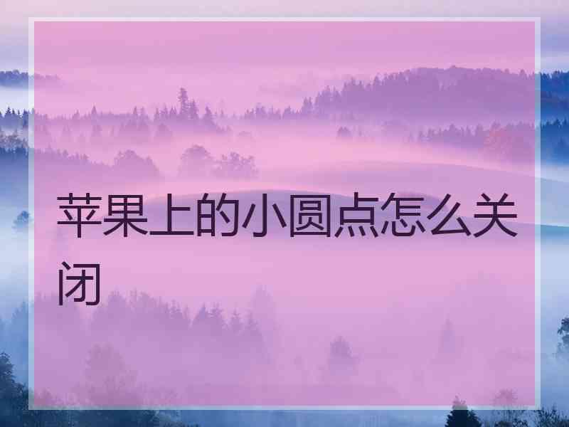 苹果上的小圆点怎么关闭