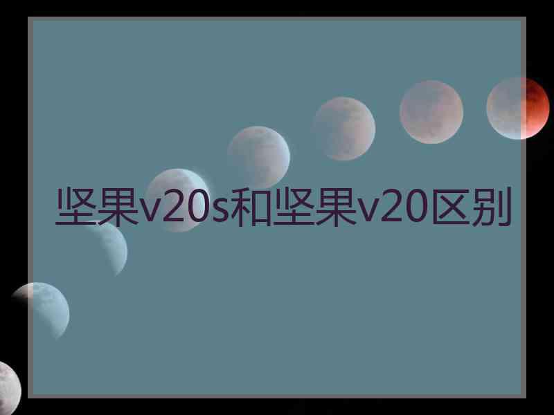 坚果v20s和坚果v20区别