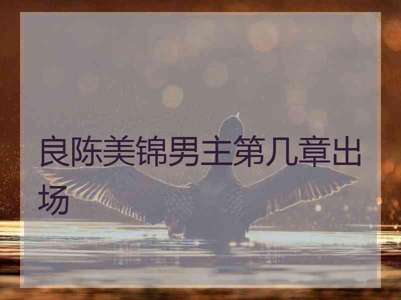 良陈美锦男主第几章出场
