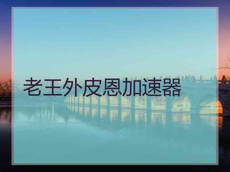老王外皮恩加速器