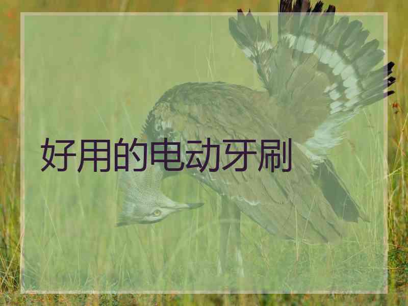 好用的电动牙刷